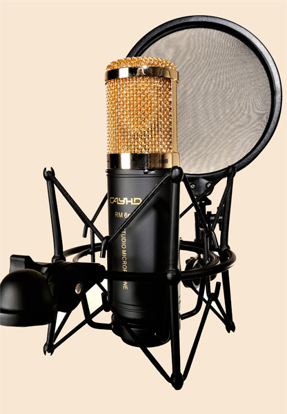 RM 6m - Large Diaphragm Condenser Microphone